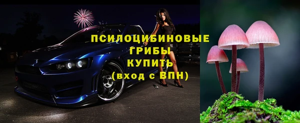МДПВ Арсеньев