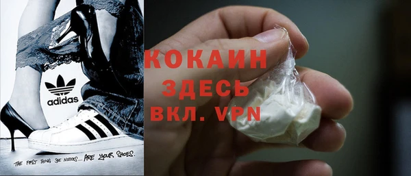 шишки Армянск