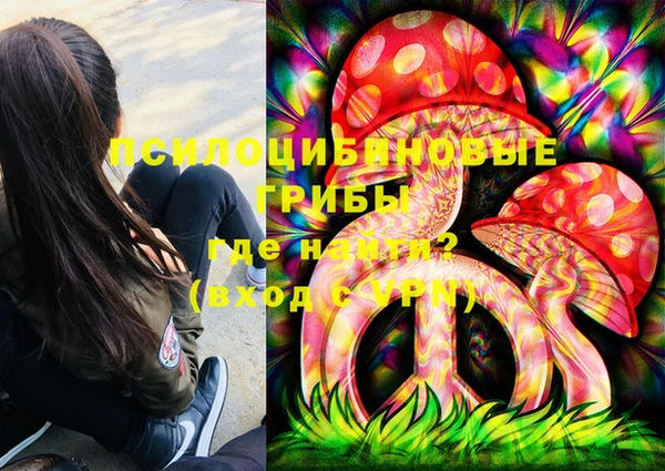 МДПВ Арсеньев