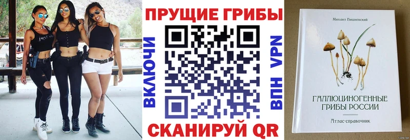 Галлюциногенные грибы GOLDEN TEACHER  Никольское 